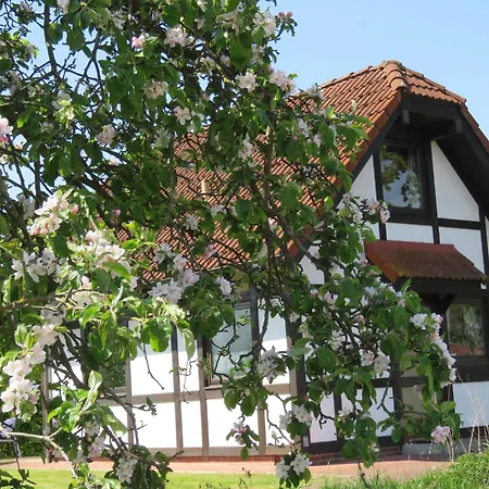 Deichgraf 65 Im Feriend Ferienhaus *